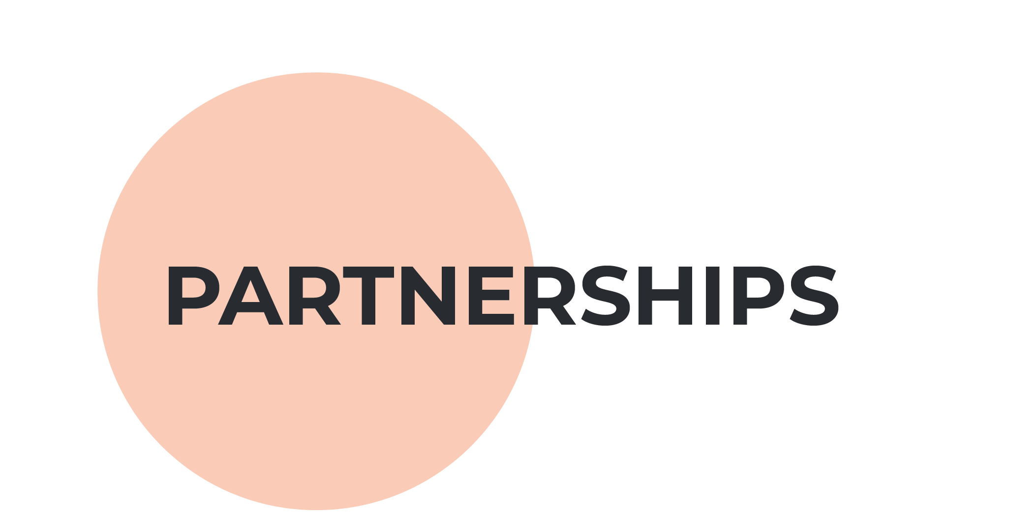 partnerships section header
